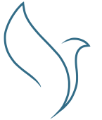 Zeichenfläche 1